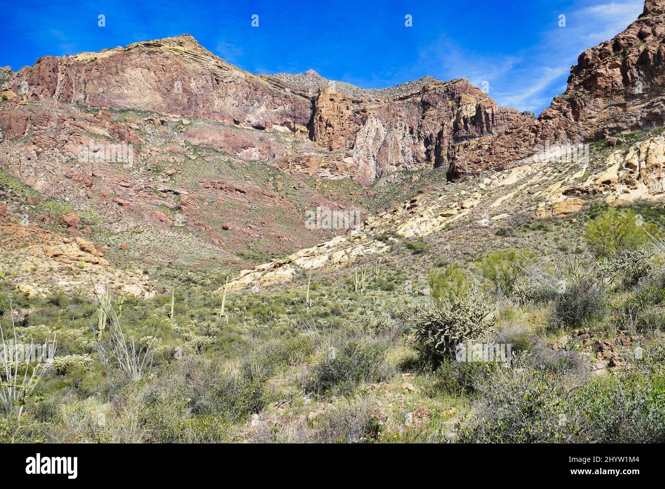 Impressionante paesaggio di montagna lungo la salita al pascolo toro nelle montagne Ajo, Organ Pipe Cactus National Monument, Arizona meridionale, Stati Uniti Foto Stock