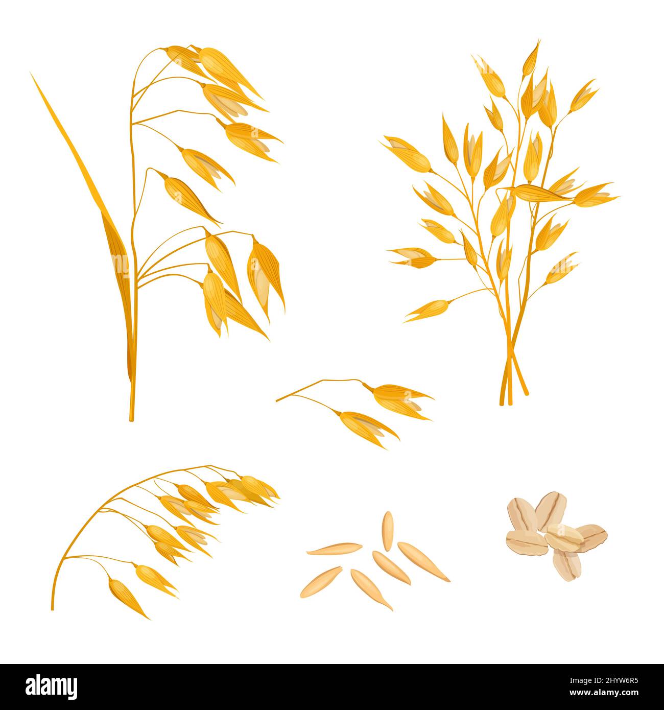Set di gambi, grani e fiocchi di avena Illustrazione Vettoriale