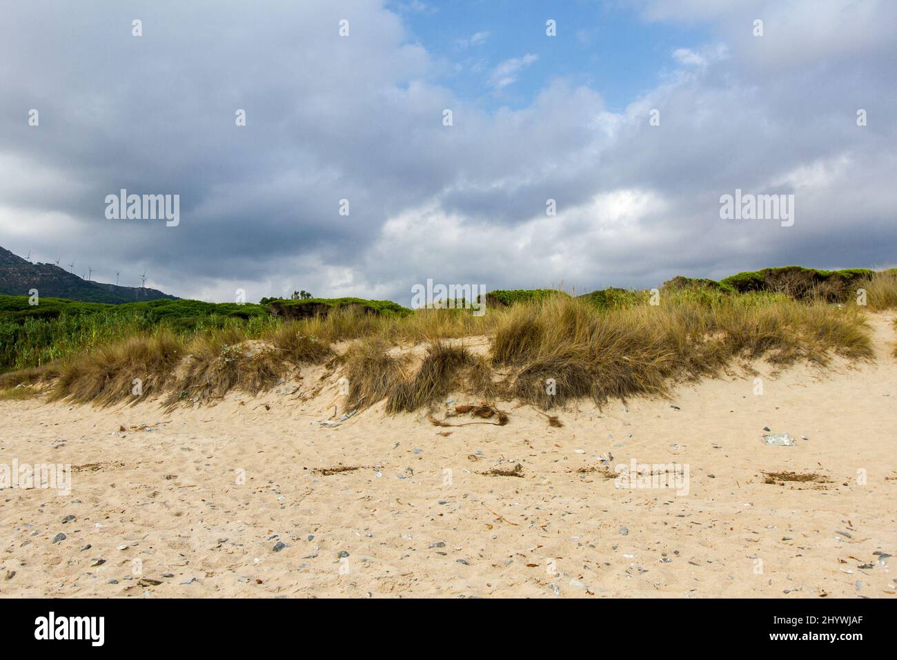 Vista panoramica di Tarifa - Cadiz - dune di sabbia alla spiaggia di Punta Paloma Foto Stock