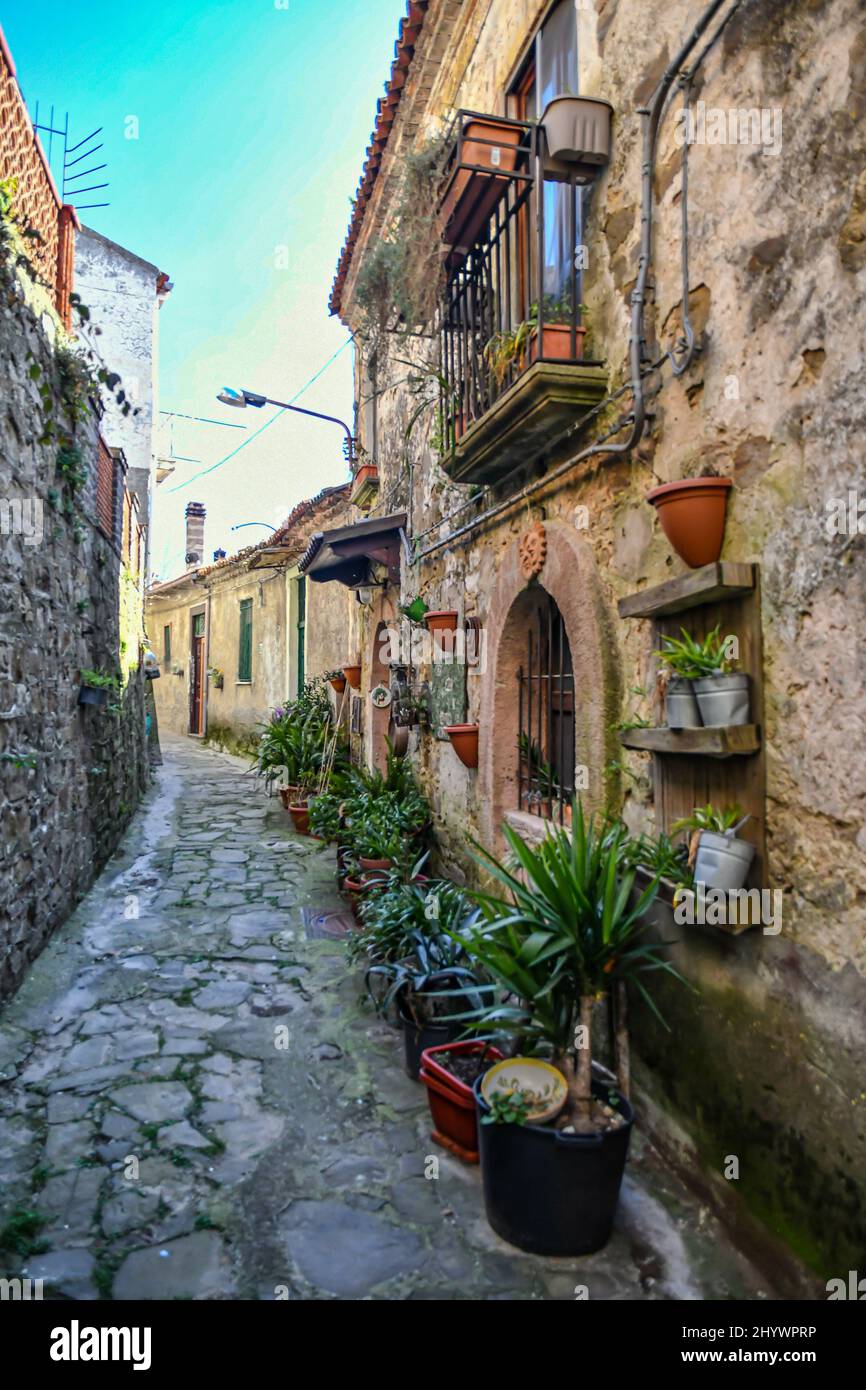 Una stradina tra le antiche case in pietra di Rocca Cilento, città in provincia di Salerno, Italia. Foto Stock
