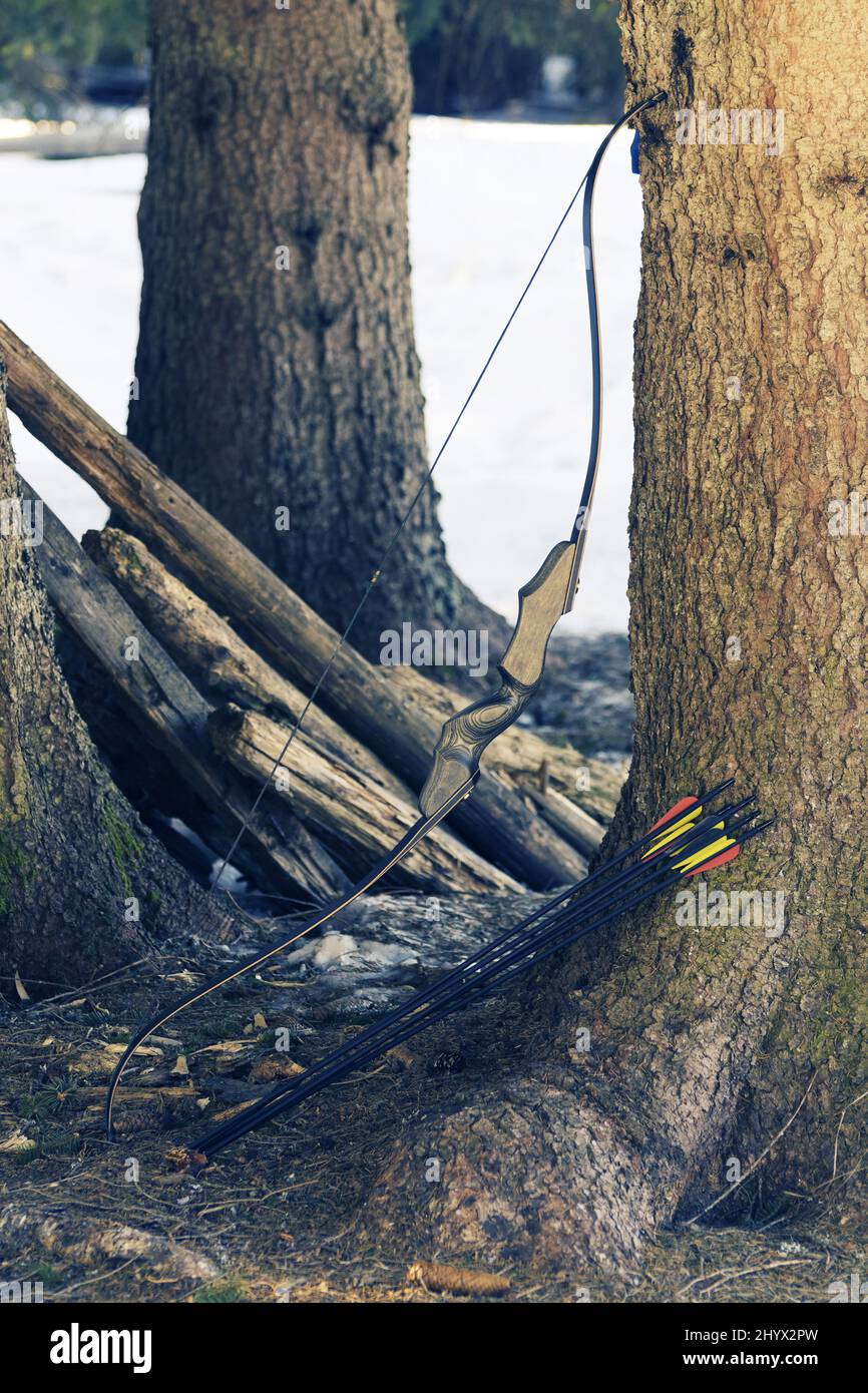 Arco a tiro con l'arco ricorrente e frecce nere appoggiate sull'albero di abete rosso. Caccia, competizione e concetti di sopravvivenza Foto Stock