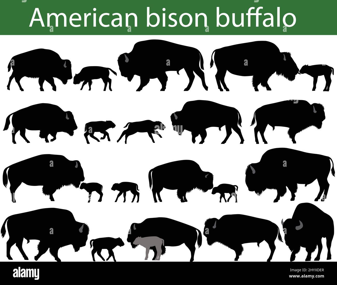 Collezione di silhouette di bisonte americano, o bufalo Illustrazione Vettoriale