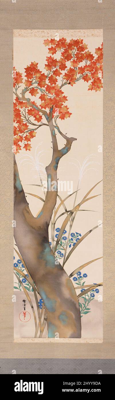 Autunno acero. Kamisaka Sekka (Giappone, 1866-1942). Giappone, nessuna data. Quadri; scorre. Rotolo sospeso; colore e inchiostro su seta Foto Stock