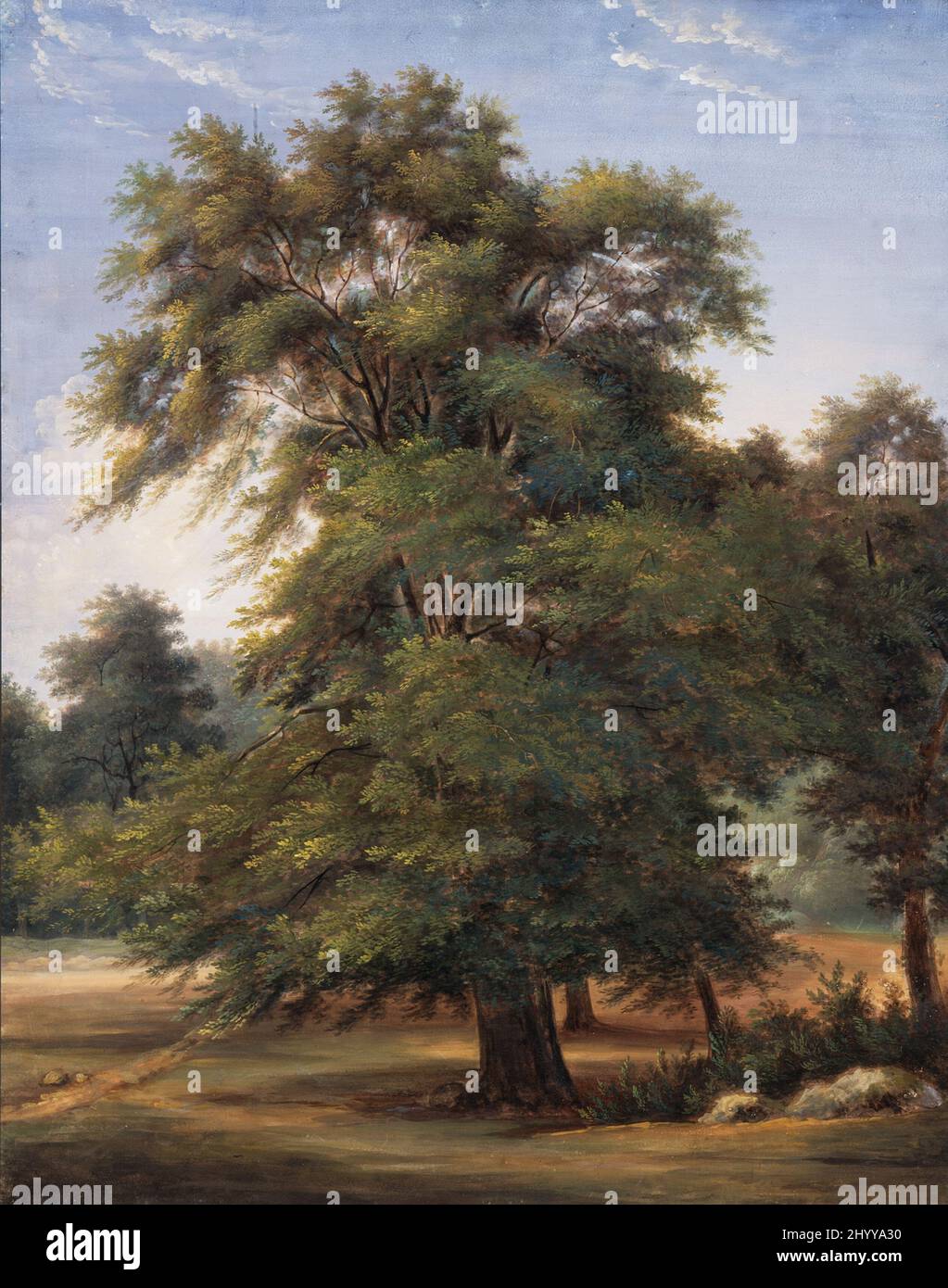 Studio di un albero. Jean-Victor Bertin (Francia, Parigi, 1767-1842). Francia, circa 1800-1805. Disegni. Gouache Foto Stock