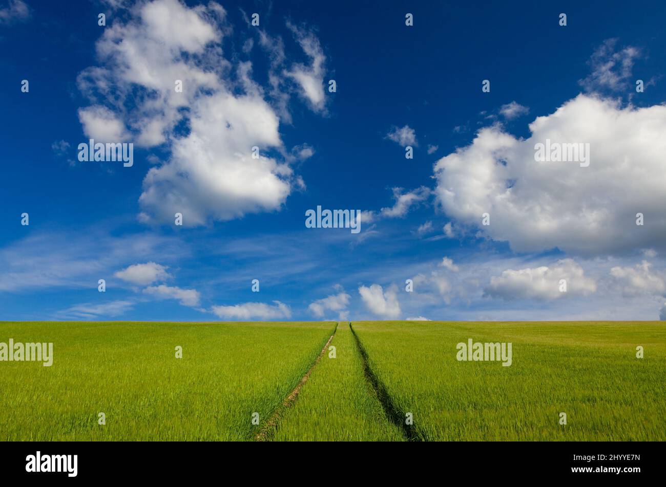 Percorso che va all'orizzonte in un campo verde con cielo blu e nuvole, viaggio destinazione concetto di viaggio Foto Stock