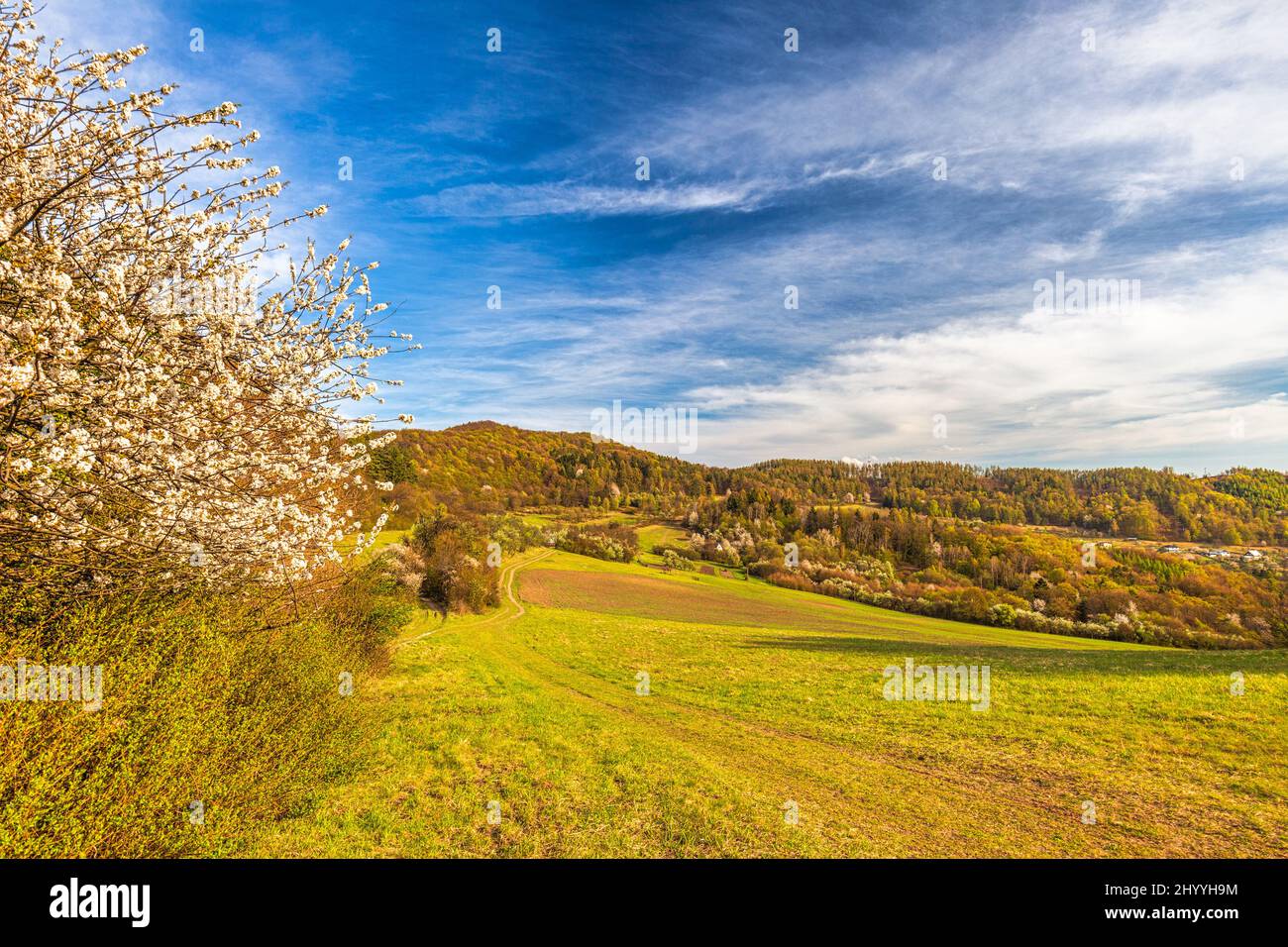 Paesaggio primaverile vicino alla riserva naturale di Klapy nella Slovacchia nord-occidentale, in Europa. Foto Stock