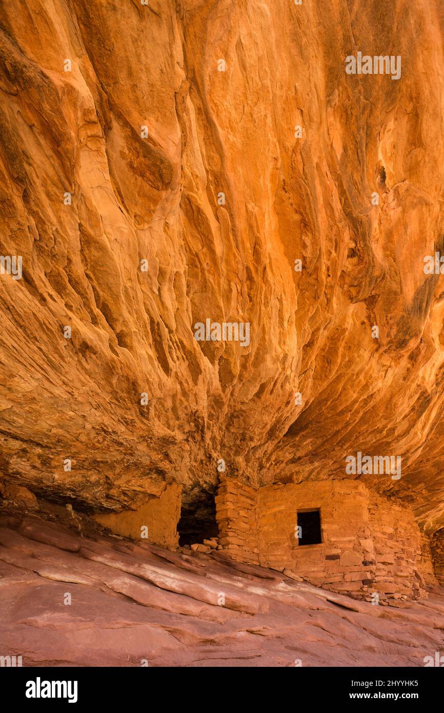 La House on Fire Ruin è un'antica scogliera di 1.000 anni di età ancestrale Puebloan che dimora nel Mule Canyon nella shash JAA Unit of the Bears Ears National Foto Stock