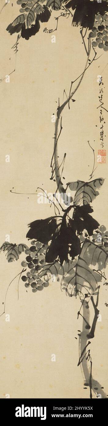 Vite. Tenryū Dōjin (Giappone, 1718-1810). Giappone, 1802. Quadri; scorre. Scorrimento sospeso; inchiostro sulla carta Foto Stock