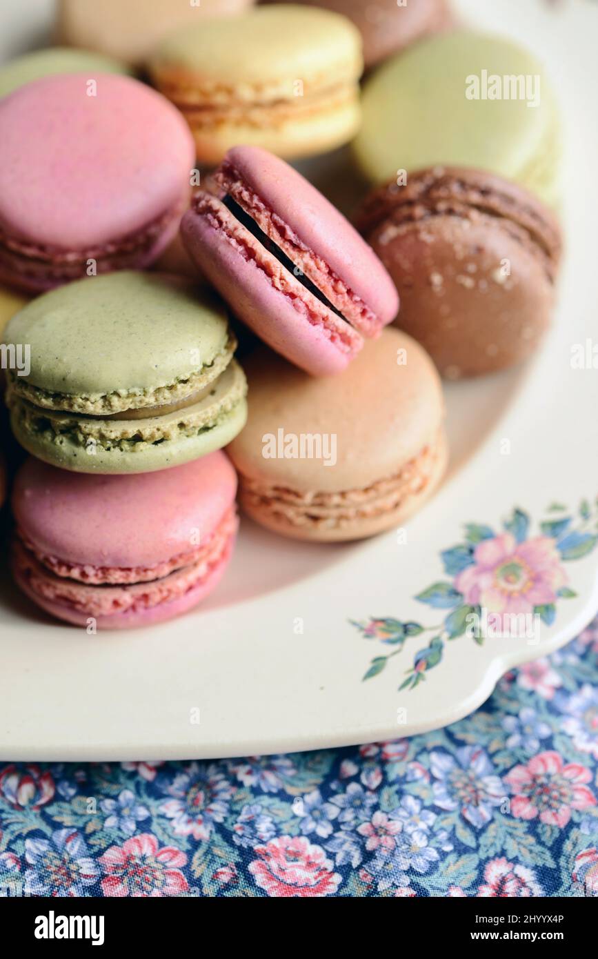 Macaron francese su un piatto d'annata su una tovaglia floreale in luce naturale Foto Stock Macaron francese su un piatto d'annata su una tovaglia floreale in luce naturale Foto Stock