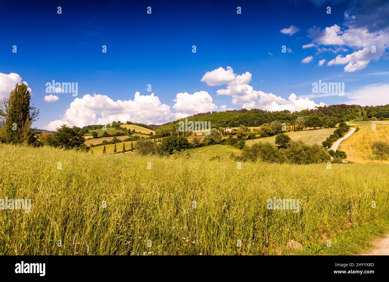 Toscana. Colline in primavera, Italia. Foto Stock
