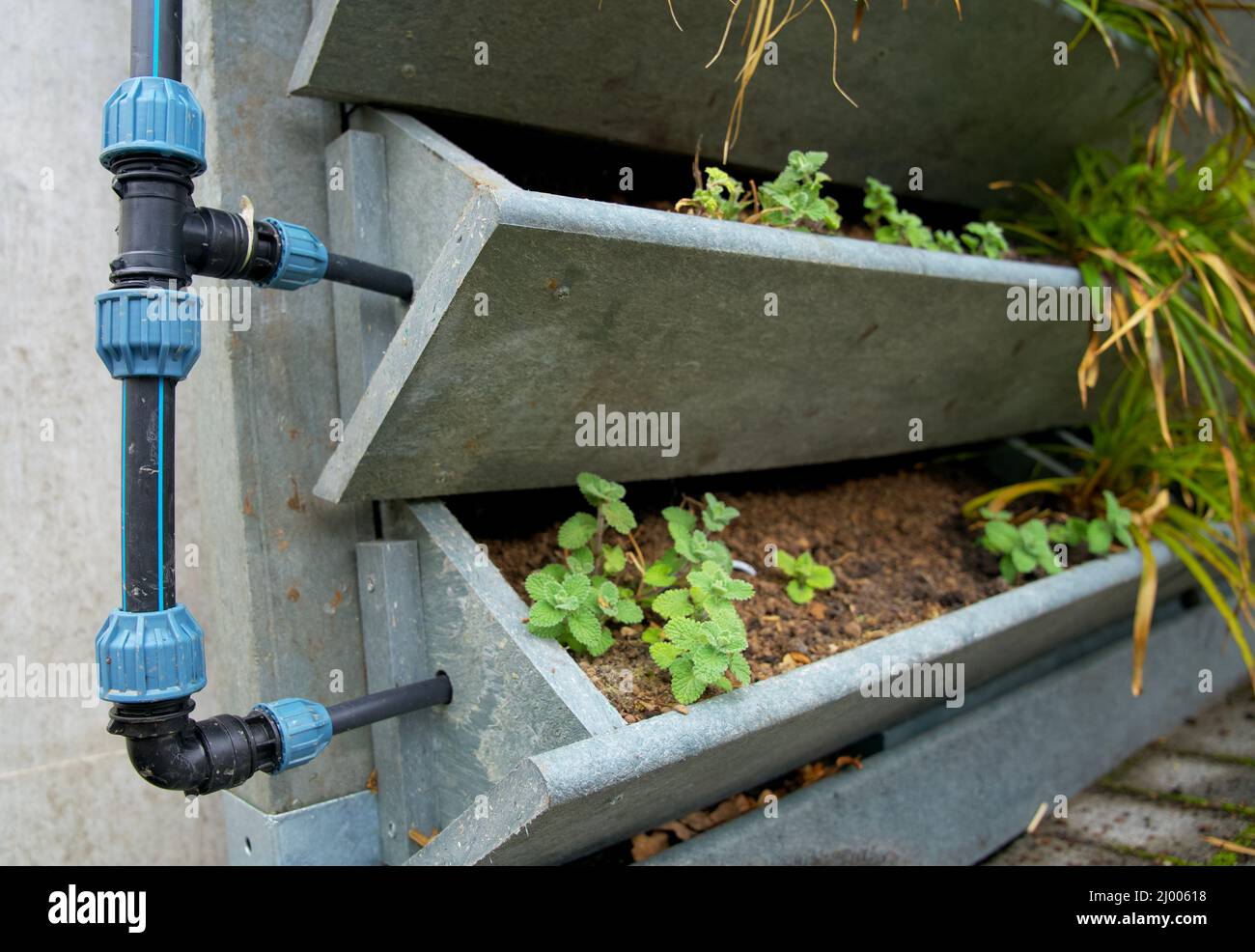 Irrigation system water valve immagini e fotografie stock ad alta  risoluzione - Alamy