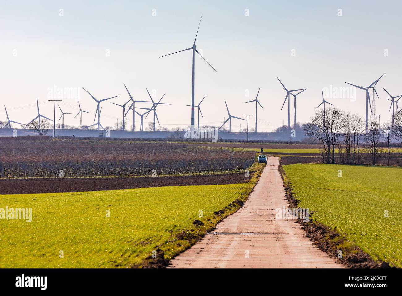 Una strada sterrata attraverso i campi porta a una moltitudine di turbine eoliche che rovinano il paesaggio e l'orizzonte Foto Stock