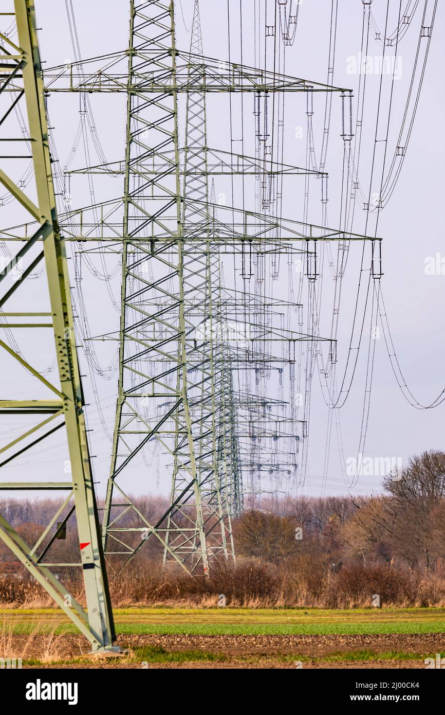 Una serie di tralicci ad alta tensione in fila mostra il contrasto tra natura e tecnologia Foto Stock