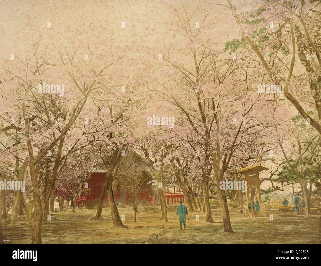 Giardino pubblico Uyeno Tokio. 1865. Fotografie. Stampa in argento albume, colorata a mano Foto Stock