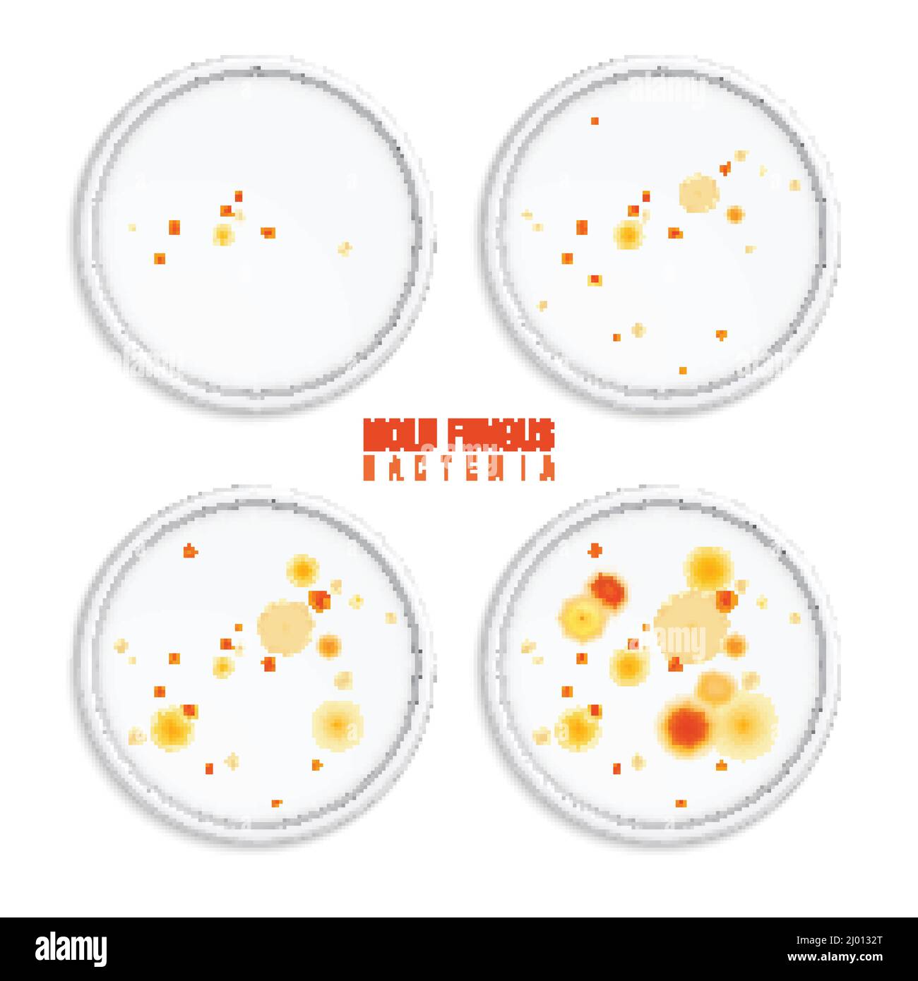 Mold Fungus bacteria coloni insieme di quattro immagini realistiche con cornici rotonde punti colorati e testo vettoriale illustrazione Illustrazione Vettoriale