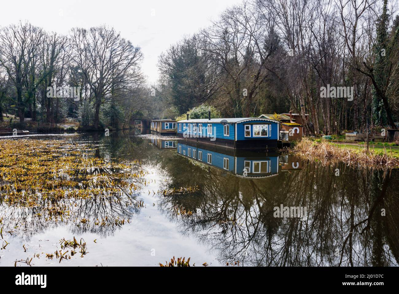 Houseboats ormeggiato sulla riva del canale di Basingstoke nella zona di St John's a Brookwood di Woking, Surrey, Inghilterra sud-orientale Foto Stock
