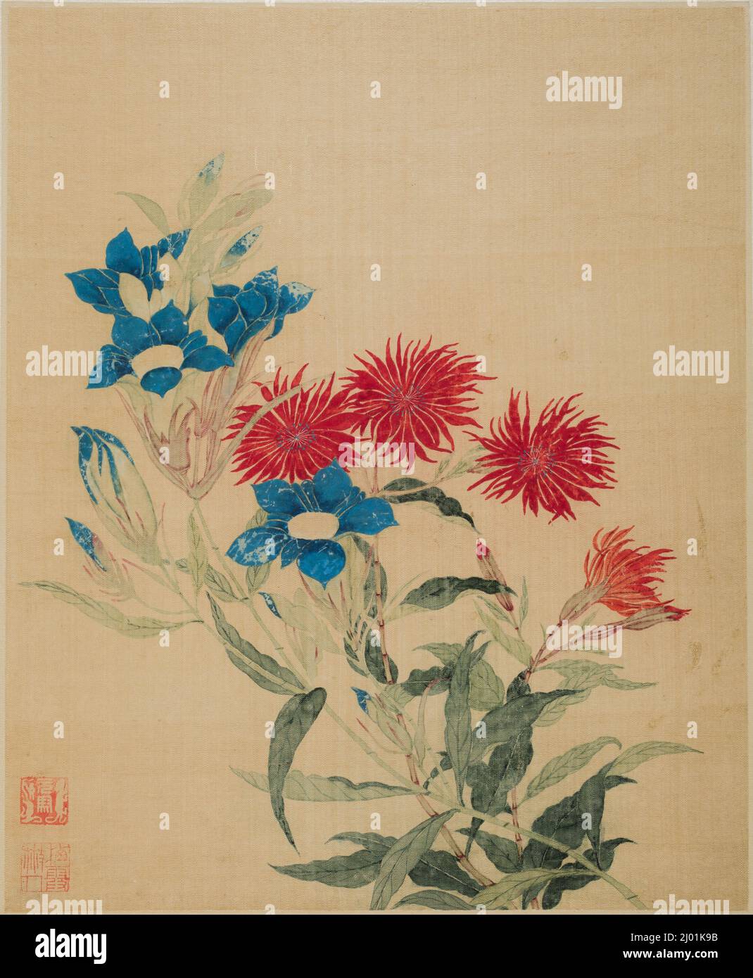 Gentiana blu e Lychnis rosso. Ma Yuanyu (Cina, 1669-1722). Cina, dinastia Qing, datata 1690. Dipinti. Album a tredici foglie, inchiostro e colore su seta Foto Stock