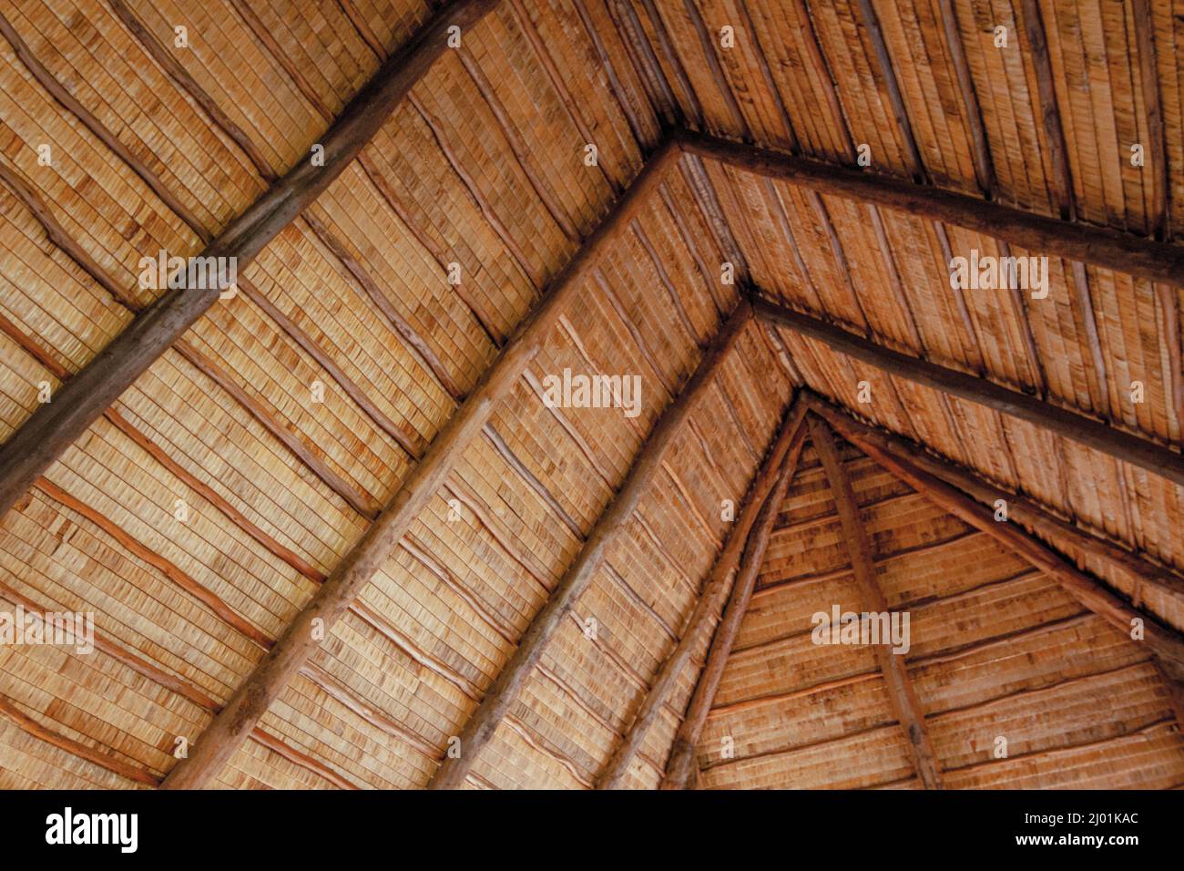 Centro Culturale Polinesiano Foto Stock
