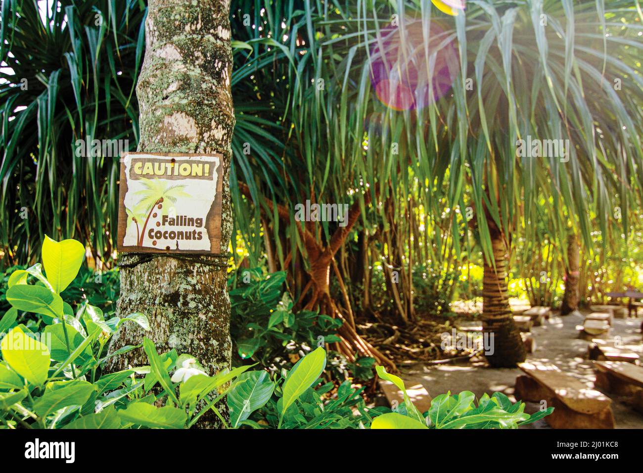 Centro Culturale Polinesiano Foto Stock
