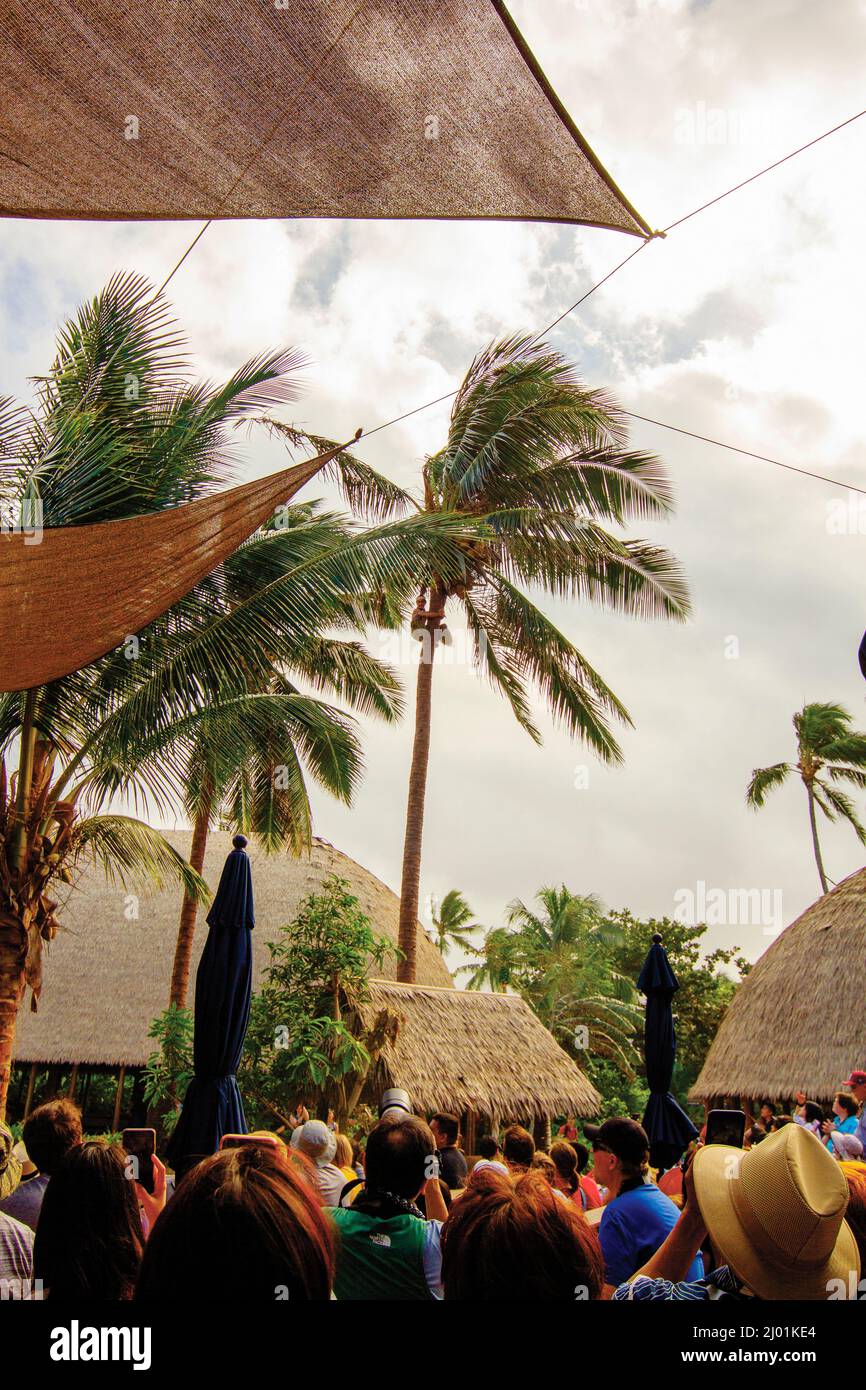 Centro Culturale Polinesiano Foto Stock