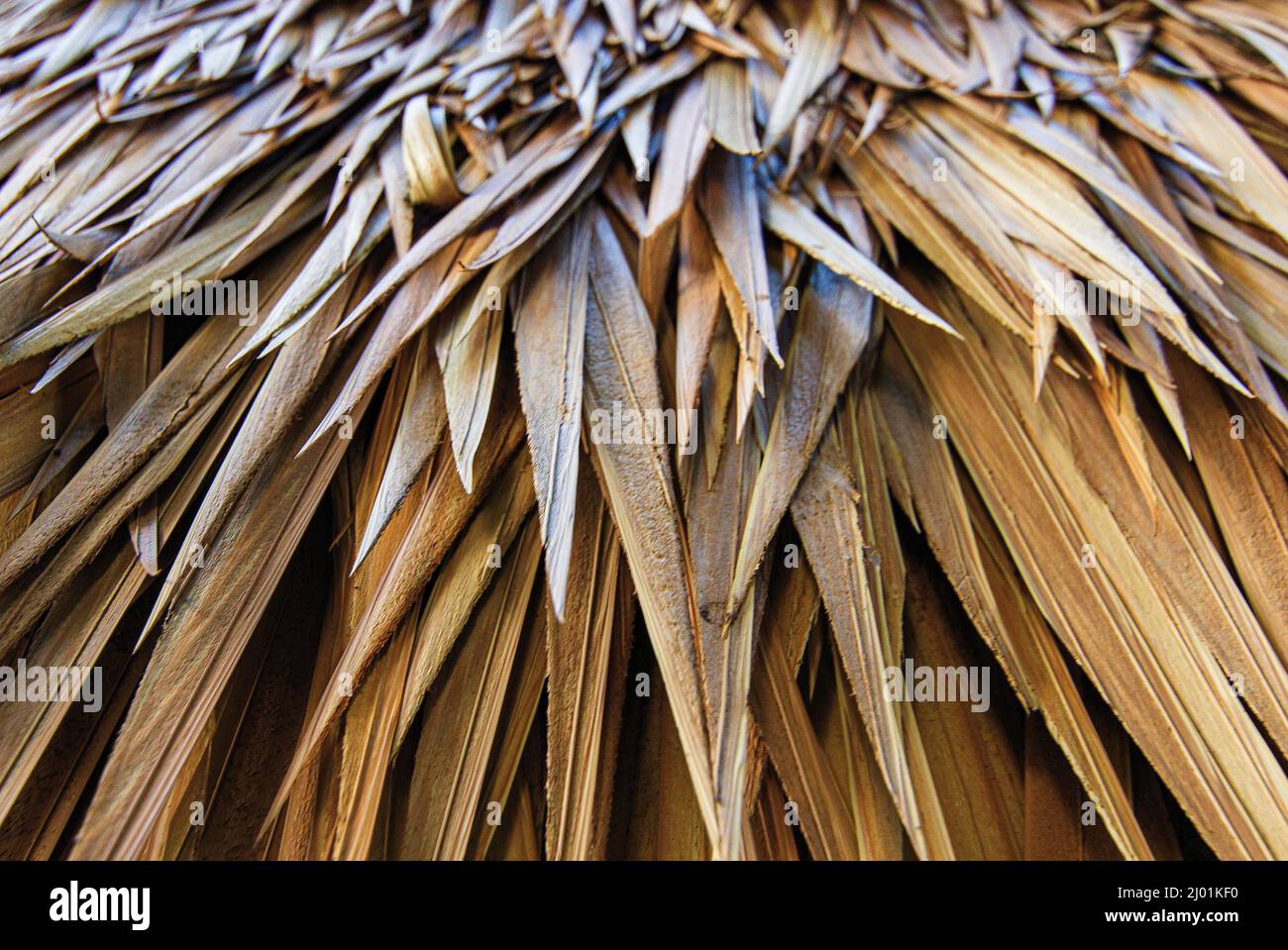 Centro Culturale Polinesiano Foto Stock