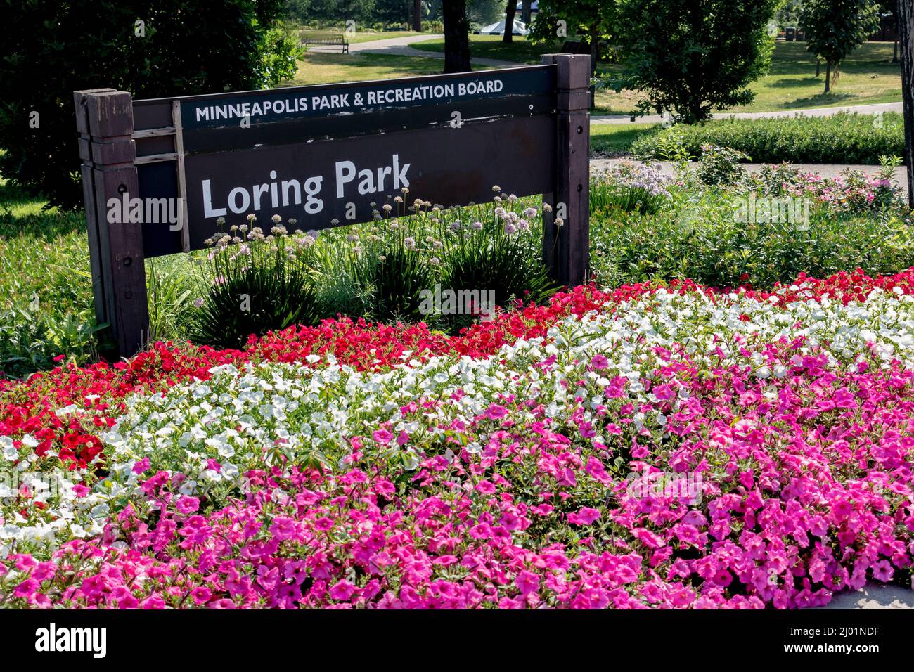 Cartello di Loring Park circondato da petunia rossa, bianca e lavanda. Minneapolis Minnesota, Stati Uniti Foto Stock