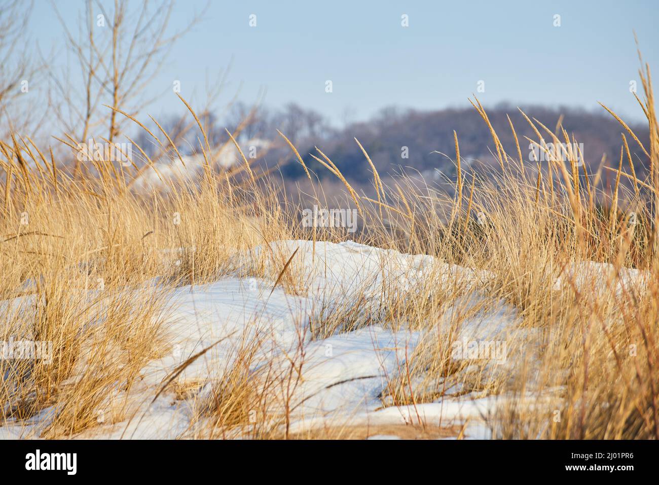 Le dune di sabbia del Michigan sono coperte di neve d'inverno Foto Stock