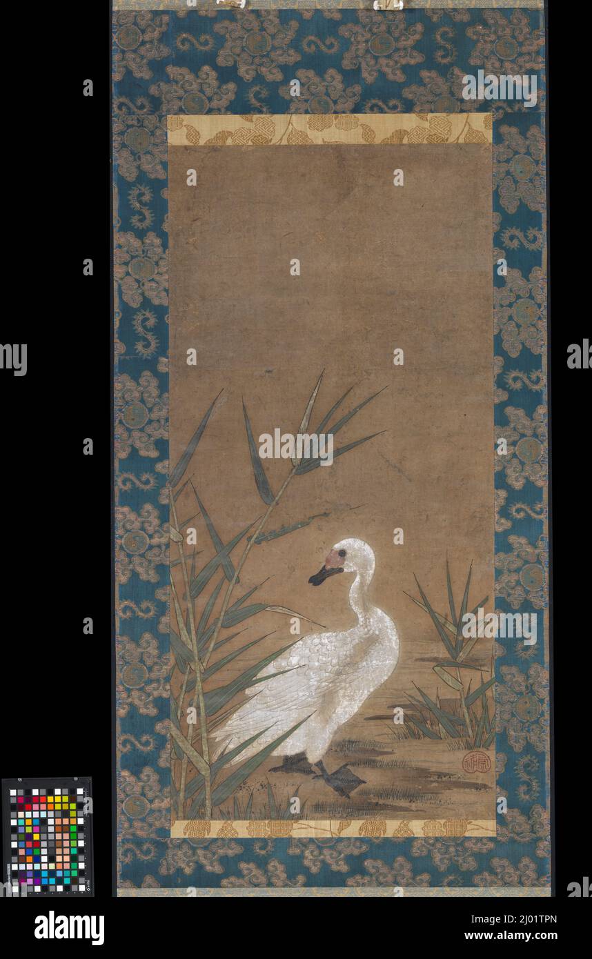 Anatra in canne. Maejima Sōyū (Giappone, attivo a metà del 16th secolo). Giappone, circa 1525. Quadri; scorre. Rotolo sospeso; inchiostro e colore su seta Foto Stock