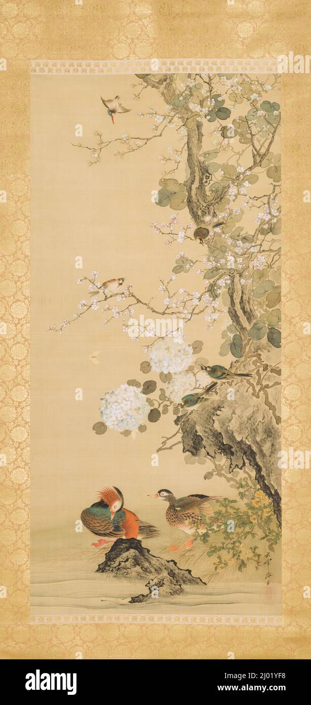 Uccelli, anatre mandarine e fiori. Okamoto Shūki (Giappone, 1807-1862). 19th secolo. Quadri; scorre. Rotolo sospeso; inchiostro e colori sulla seta Foto Stock