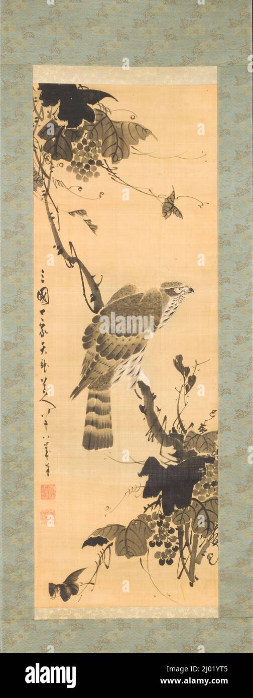 Hawk su Grapevine. Tenryū Dōjin (Giappone, 1718-1810). Periodo Edo (1615-1868), 1805. Quadri; scorre. Rotolo sospeso; inchiostro e colore su seta Foto Stock