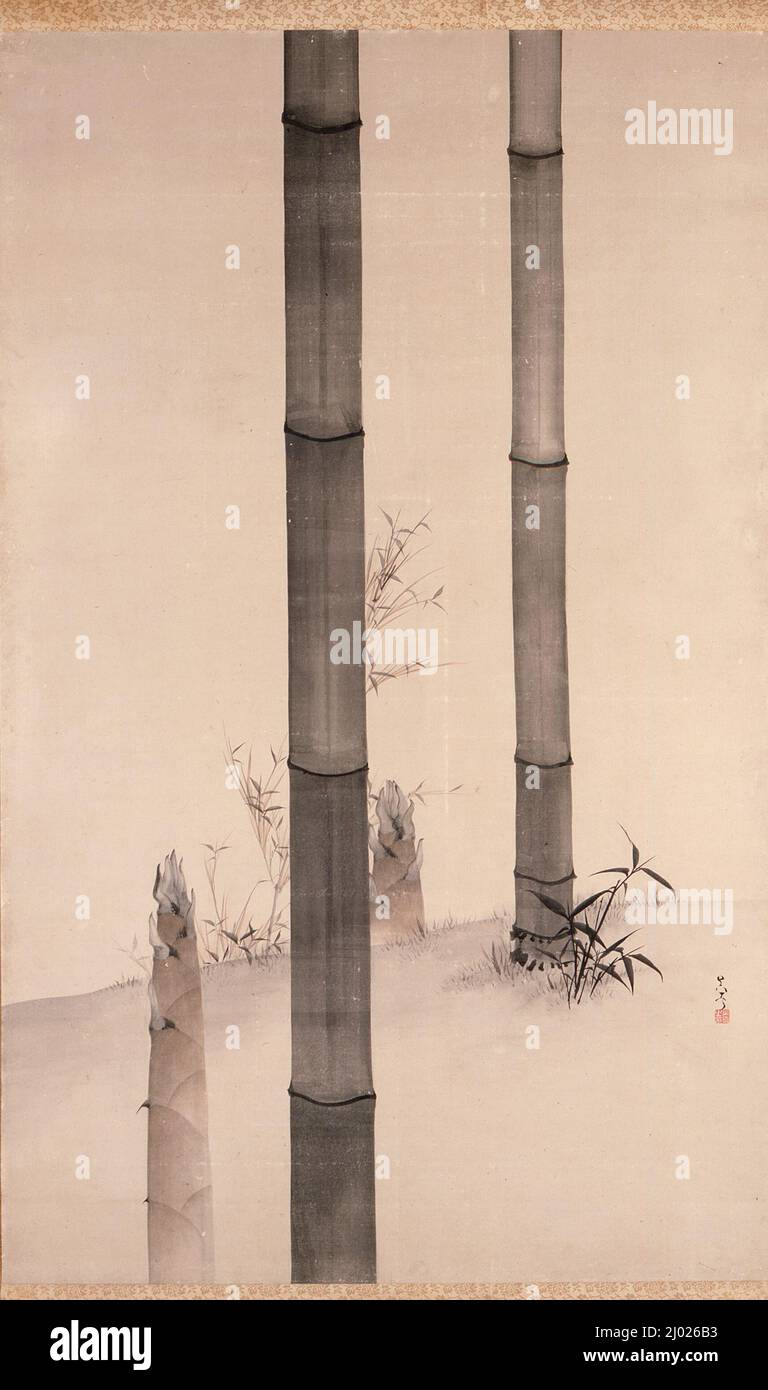 Bambù. Goshun (Giappone, 1752-1811). Giappone, inizio 19th secolo. Quadri; scorre. Scorrimento sospeso; inchiostro e colore leggero sulla carta Foto Stock