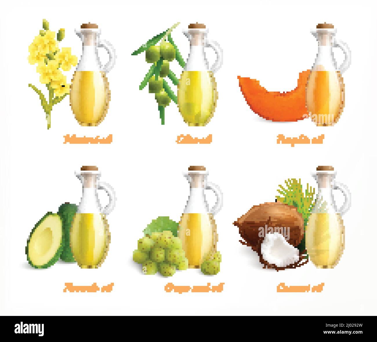 Olii alimentari realistico set di icone con senape oliva zucca avocado semi d'uva e olio di cocco illustrazione vettoriale Illustrazione Vettoriale