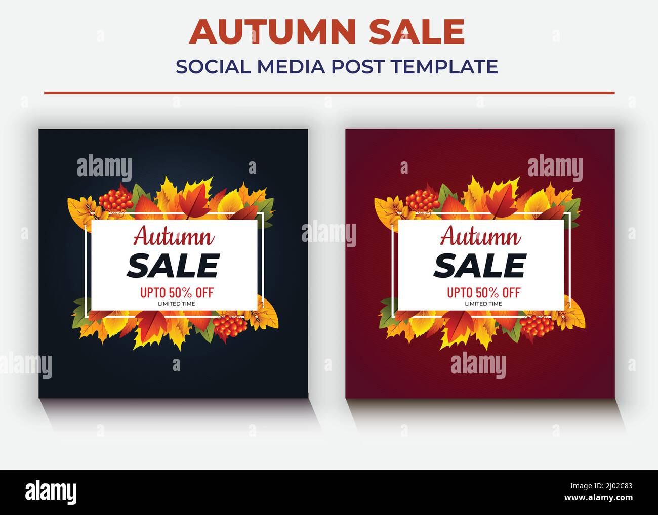 Modello di post sui social media in vendita in autunno, post e volantino sui social media in vendita Illustrazione Vettoriale