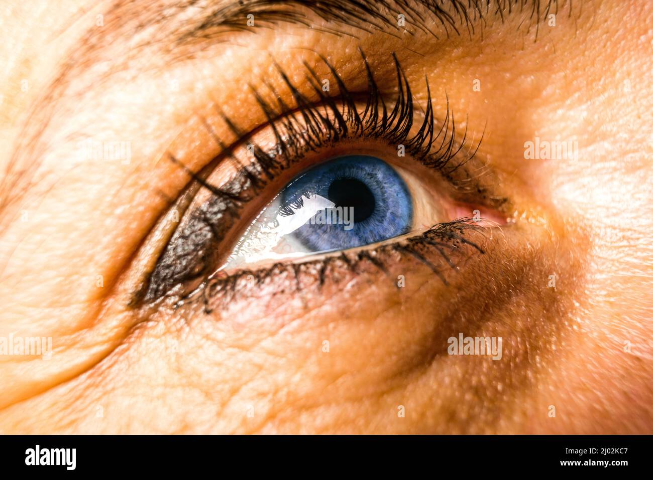 Macro occhio blu del womans o fotografia di primo piano Foto Stock