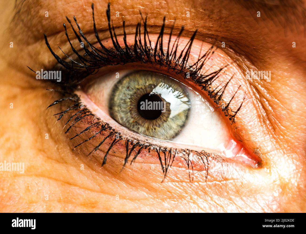 Verde o grigio occhio di donna macro o primo piano di fotografia Foto Stock