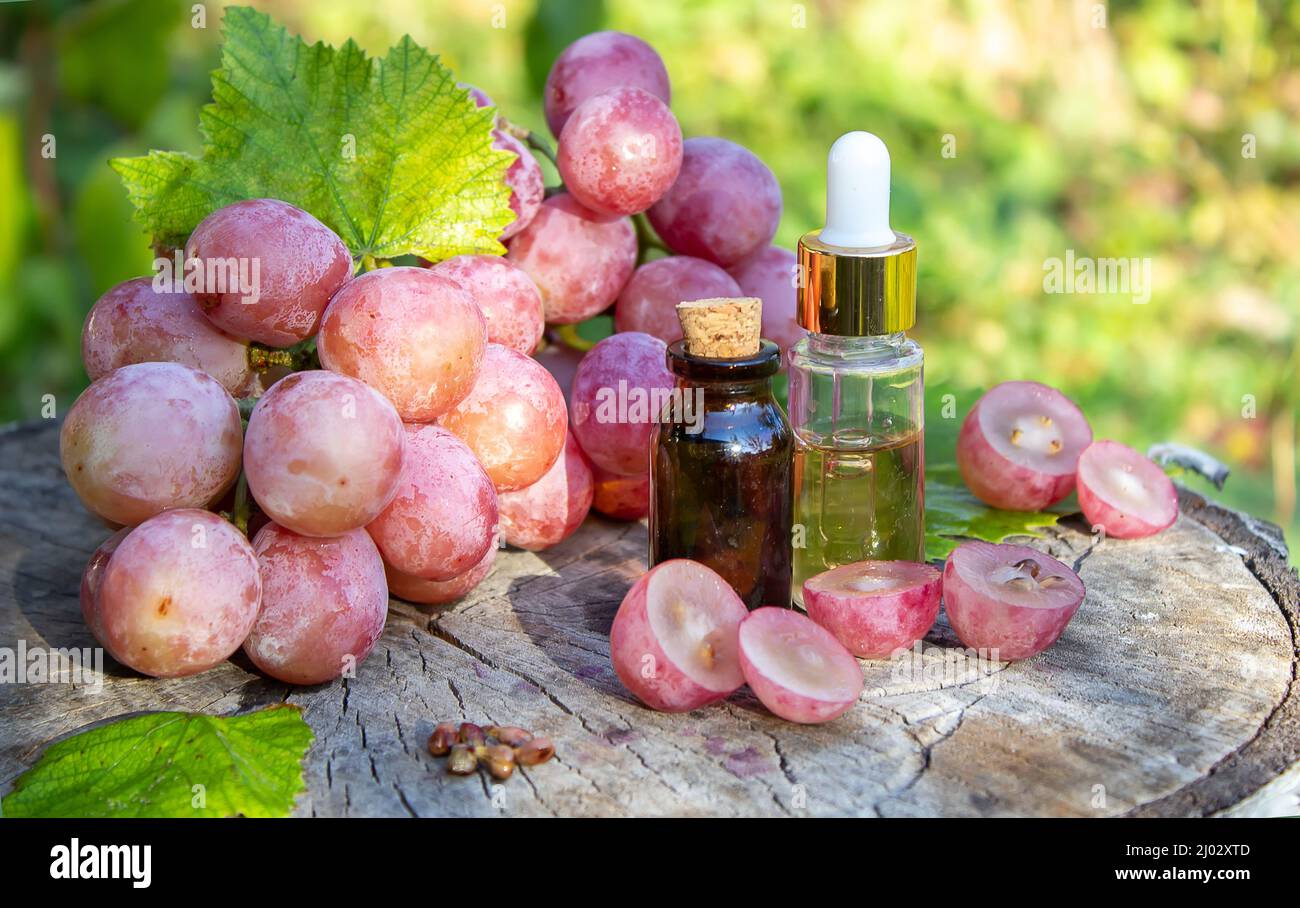Olio di semi di uva in un vaso di vetro e uva fresca per cure termali e del corpo. Il concetto di spa, bio, eco prodotti. Fuoco selettivo Foto Stock