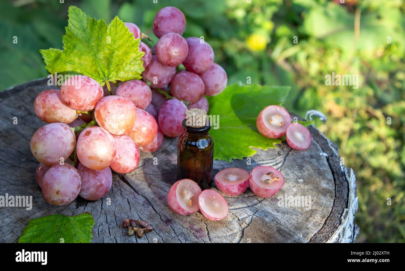 Olio di semi di uva in un vaso di vetro e uva fresca per cure termali e del corpo. Il concetto di spa, bio, eco prodotti. Fuoco selettivo Foto Stock