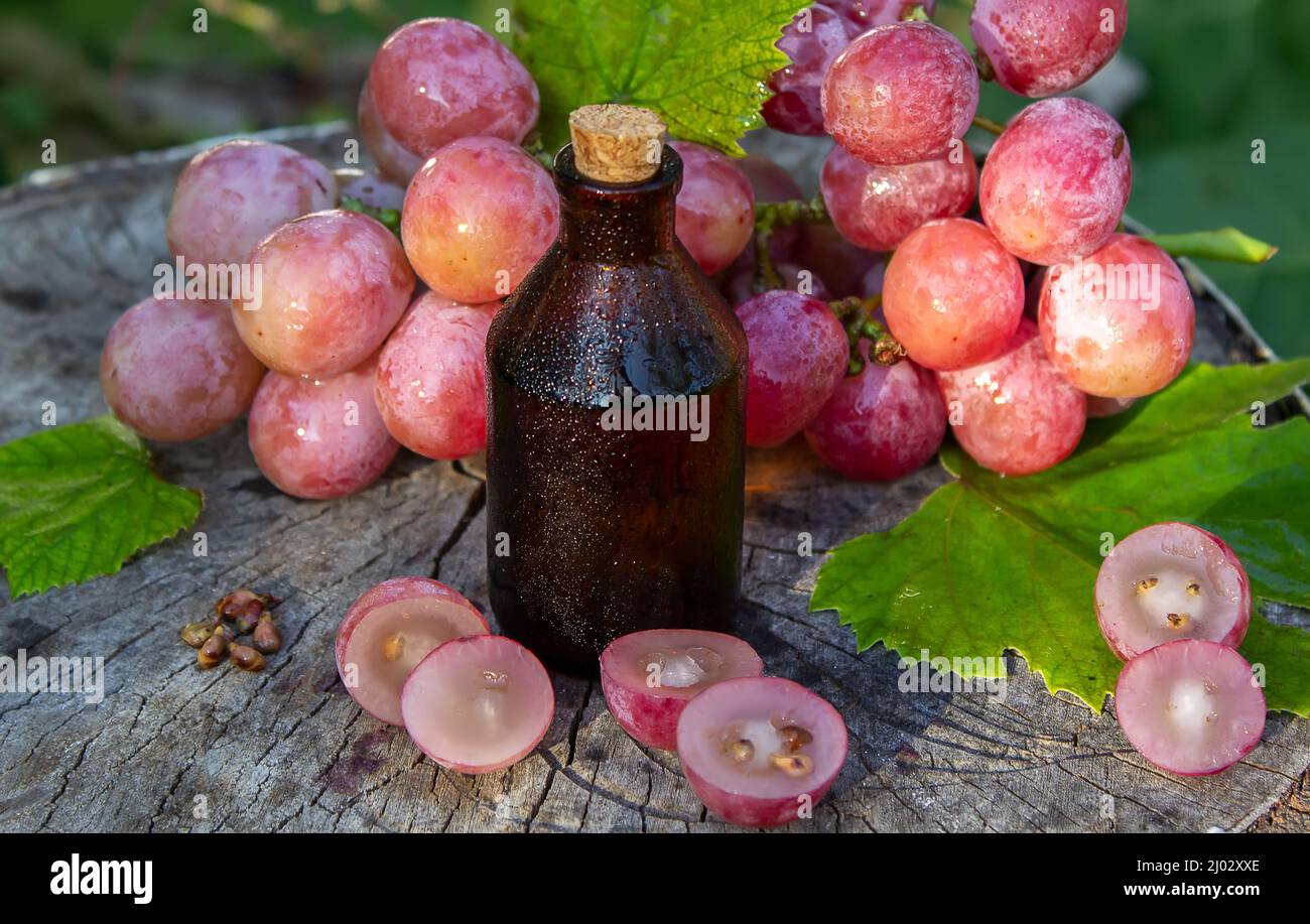 Olio di semi di uva in un vaso di vetro e uva fresca per cure termali e del corpo. Il concetto di spa, bio, eco prodotti. Fuoco selettivo Foto Stock