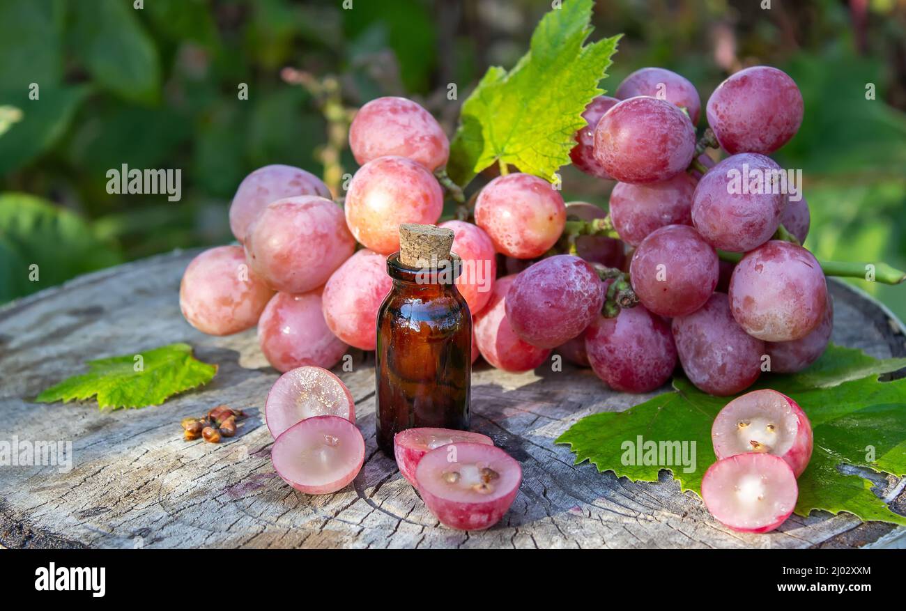 Olio di semi di uva in un vaso di vetro e uva fresca per cure termali e del corpo. Il concetto di spa, bio, eco prodotti. Fuoco selettivo Foto Stock