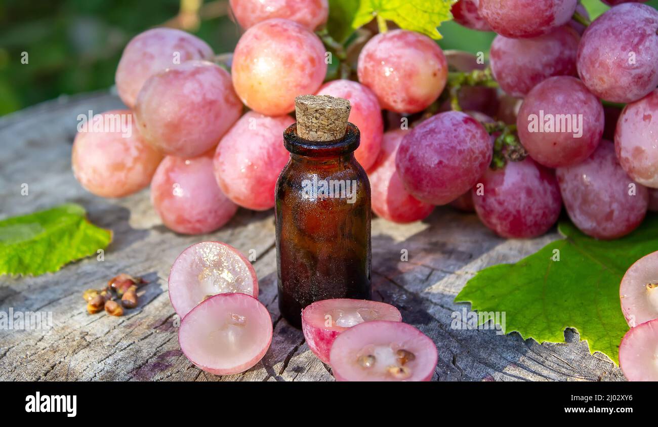 Olio di semi di uva in un vaso di vetro e uva fresca per cure termali e del corpo. Il concetto di spa, bio, eco prodotti. Fuoco selettivo Foto Stock