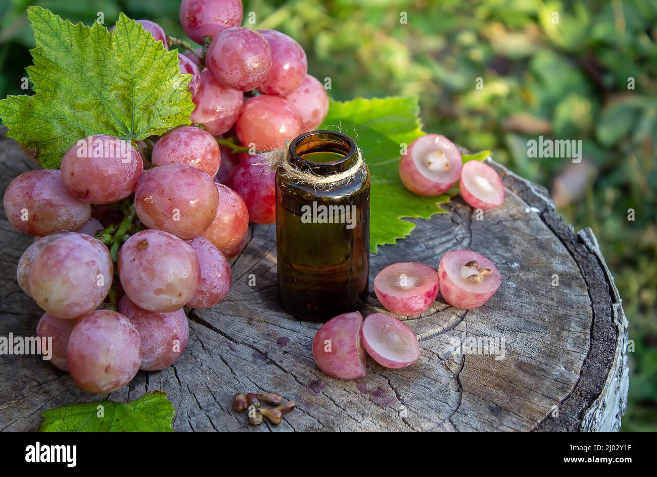 Olio di semi di uva in un vaso di vetro e uva fresca per cure termali e del corpo. Il concetto di spa, bio, eco prodotti. Fuoco selettivo Foto Stock