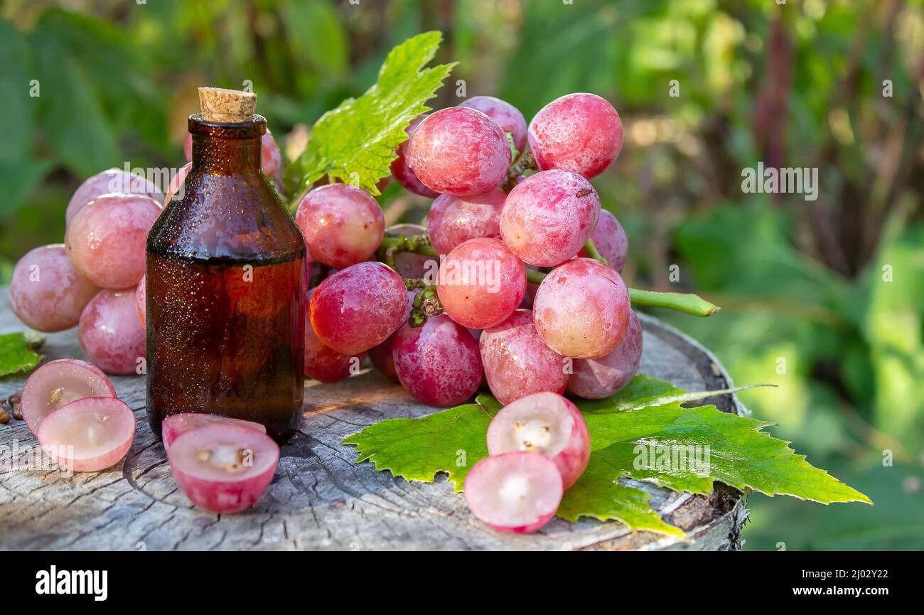 Olio di semi di uva in un vaso di vetro e uva fresca per cure termali e del corpo. Il concetto di spa, bio, eco prodotti. Fuoco selettivo Foto Stock