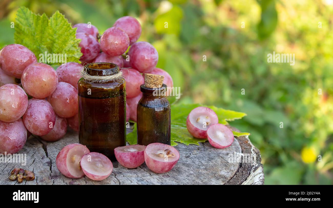 Olio di semi di uva in un vaso di vetro e uva fresca per cure termali e del corpo. Il concetto di spa, bio, eco prodotti. Fuoco selettivo Foto Stock