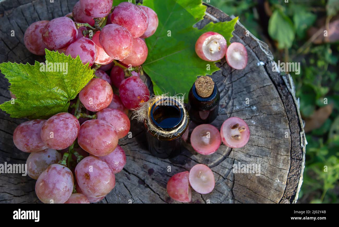Olio di semi di uva in un vaso di vetro e uva fresca per cure termali e del corpo. Il concetto di spa, bio, eco prodotti. Fuoco selettivo Foto Stock