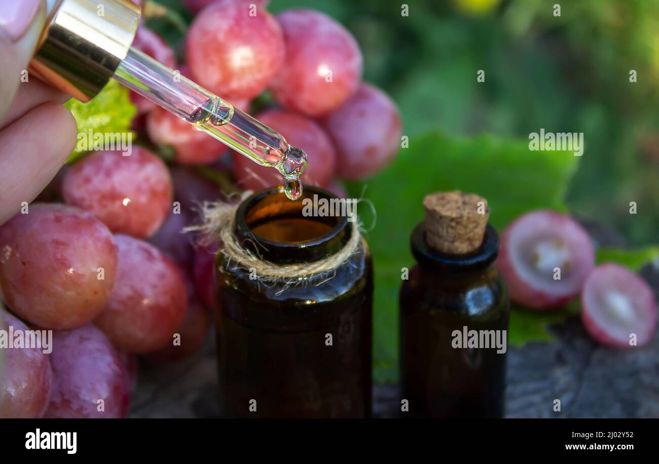 Olio di semi di uva in un vaso di vetro e uva fresca per cure termali e del corpo. Il concetto di spa, bio, eco prodotti. Fuoco selettivo Foto Stock