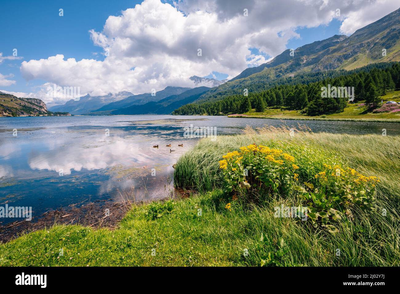 Vista incredibile sull'azzurro lago Silsersee (Sils). Scena pittoresca e splendida. Popolare attrazione turistica. Ubicazione luogo alta valle Engadina, Gris Foto Stock