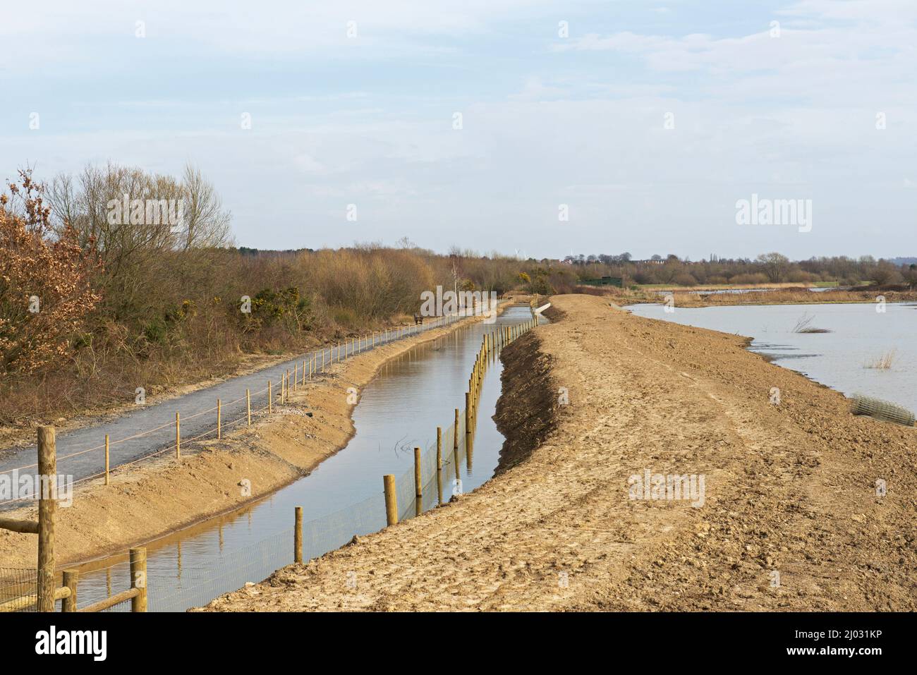 Restauro di habitat a Old Moor, una riserva naturale RSPB nella Dearne Valley, vicino a Wombwell, South Yorkshire, Inghilterra Regno Unito Foto Stock