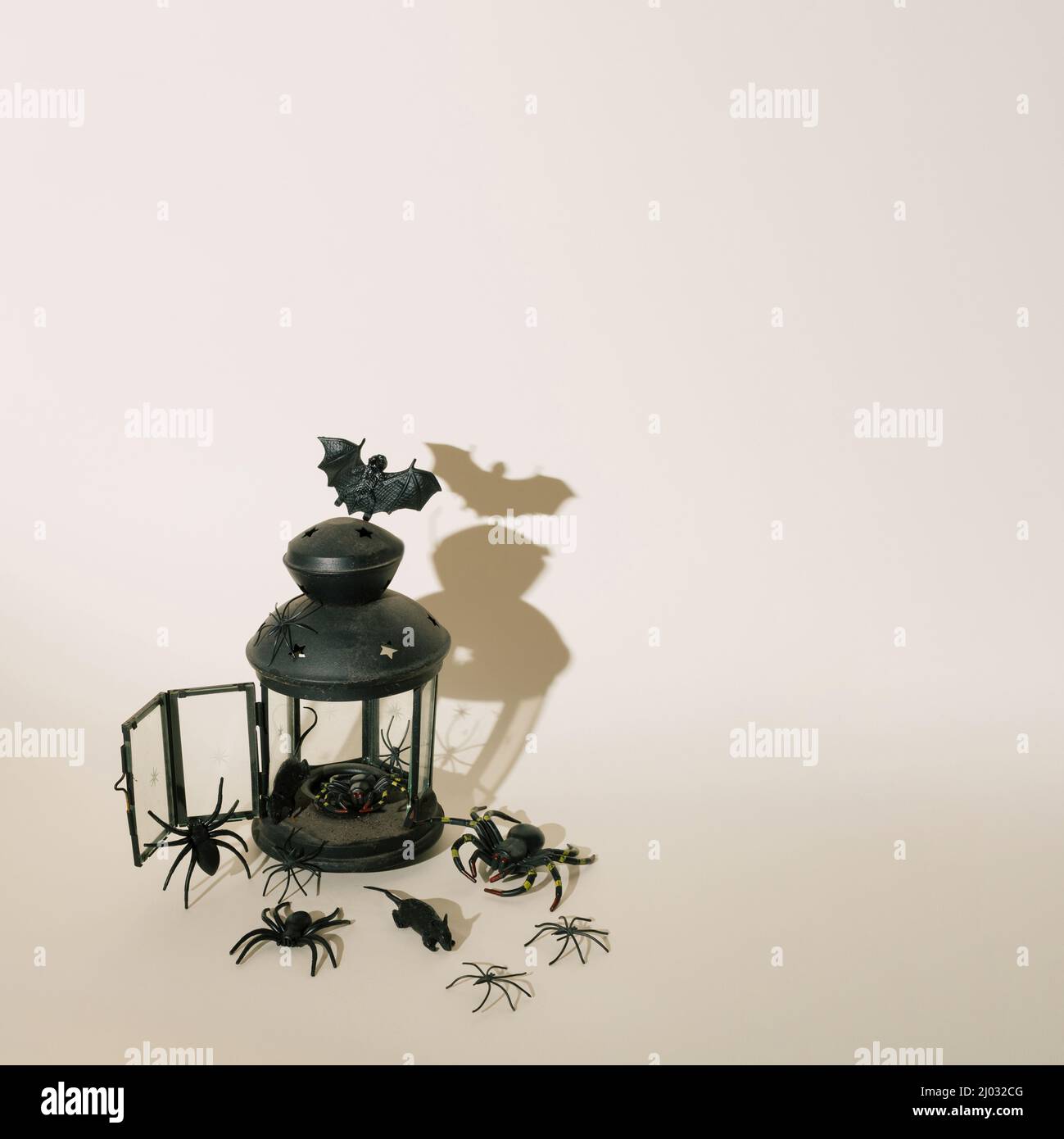 Pericolosa paura infestato Halloween lanterna con ragni neri, ratti e pipistrelli su semplice sfondo di base. Foto Stock