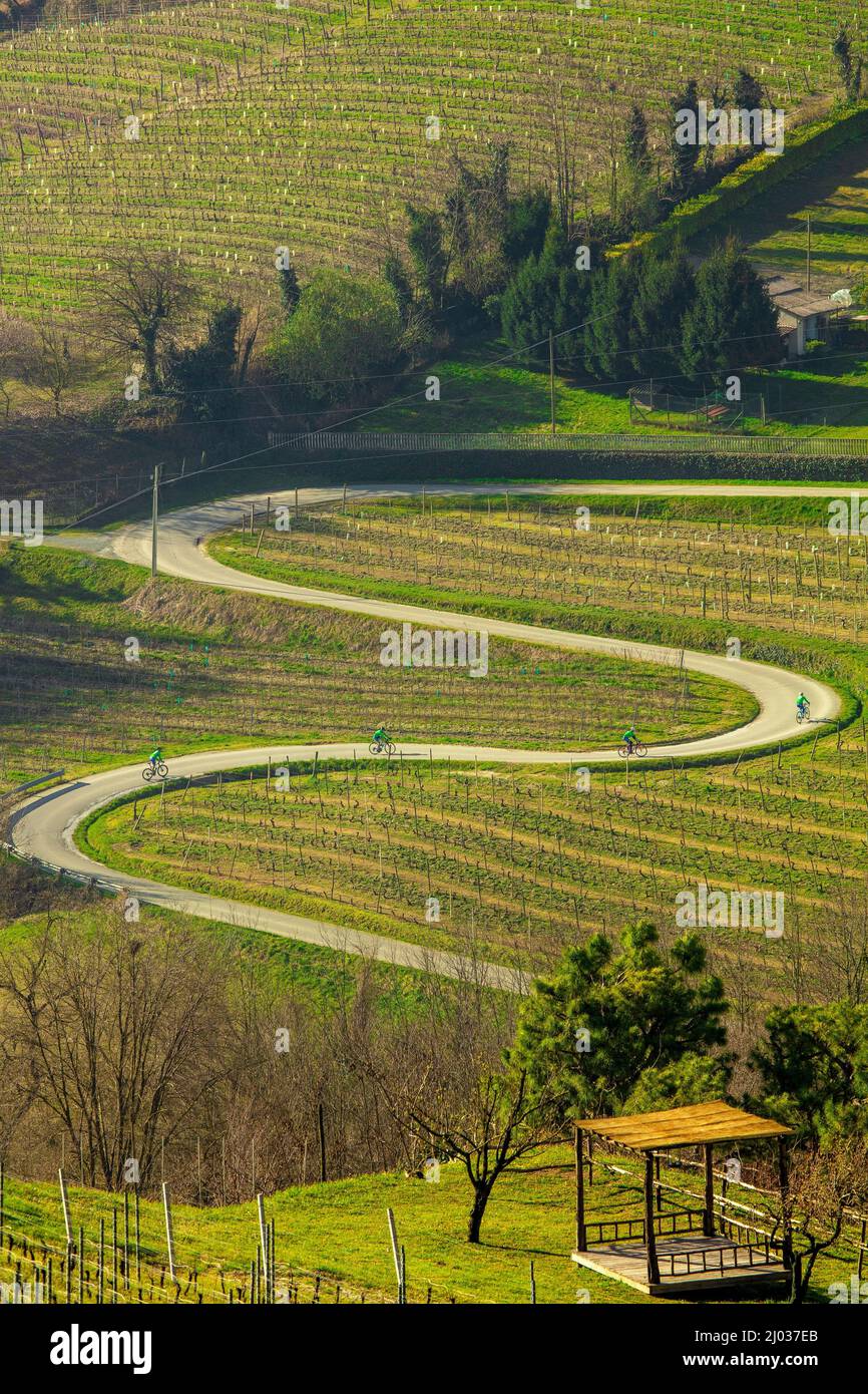 Il percorso panoramico, Canelli, Piemonte, Italia, Europa Foto Stock