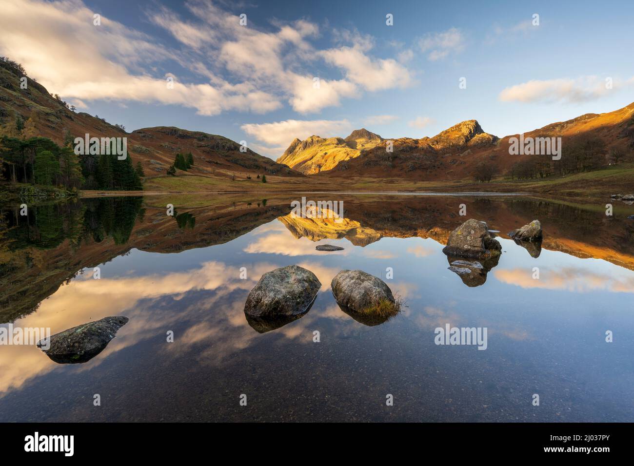 Blea Tarn con riflessi specchiati in autunno, Blea Tarn, Lake District National Park, patrimonio dell'umanità dell'UNESCO, Cumbria, Inghilterra, Regno Unito Foto Stock